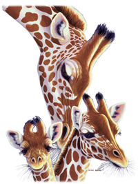 Giraffe Family A Nudge From Mom T-Shirt