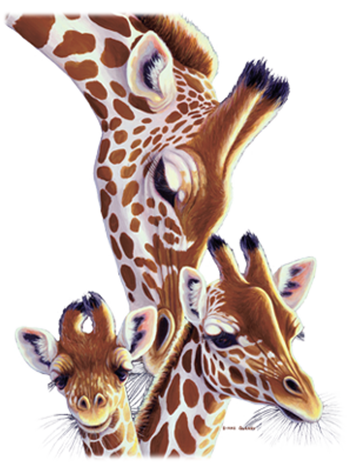 Giraffe Family A Nudge From Mom T-Shirt