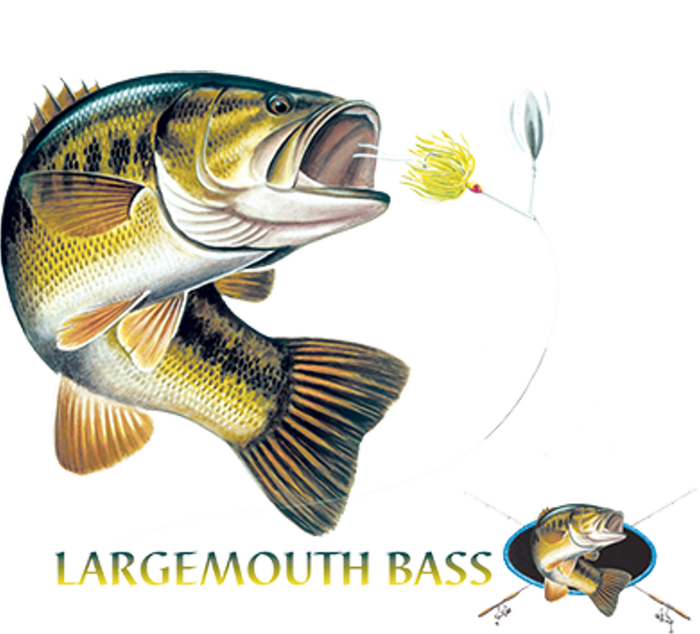 Largemouth Bass T-Shirt