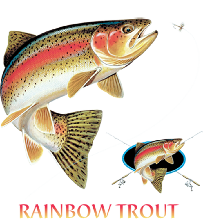 Rainbow Trout Fish T-Shirt