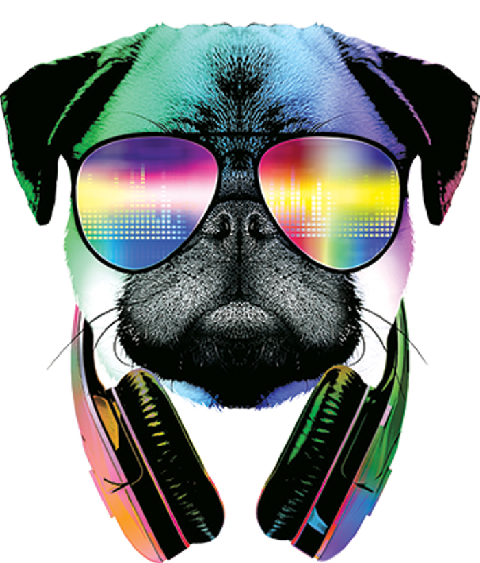 Trippy DJ Pug Sweatshirt