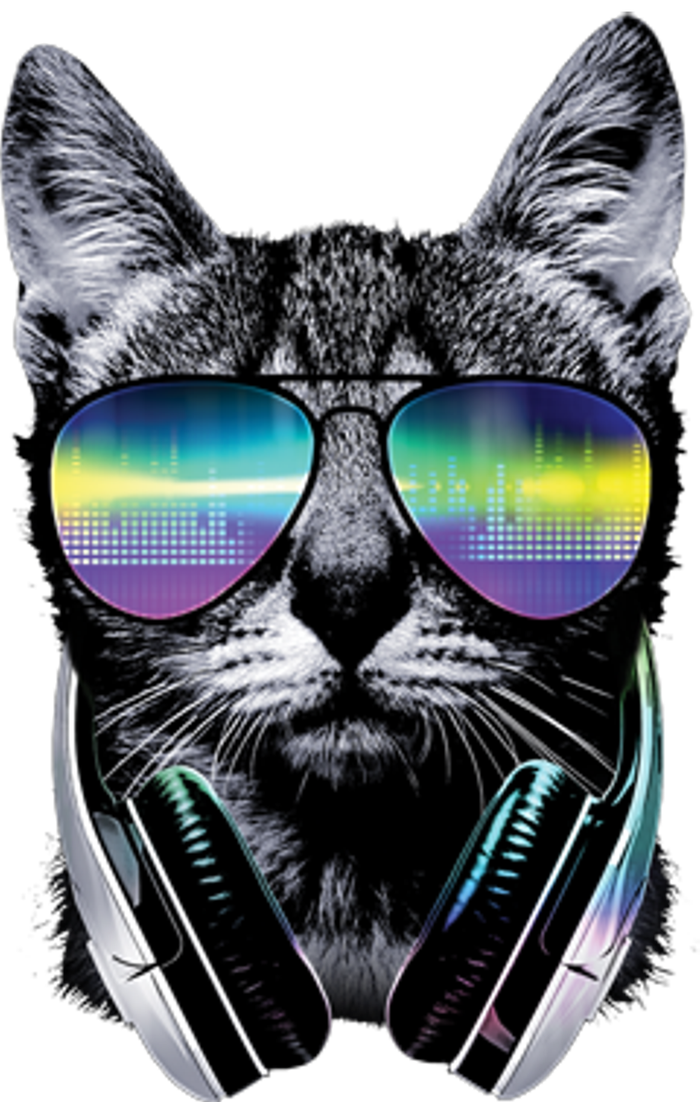 DJ Cat T-Shirt