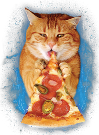 Cool and Funny Pizza Cat T-Shirt