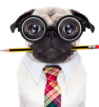 Nerdy Pug Dog With Glasses Long Sleeve Shirt