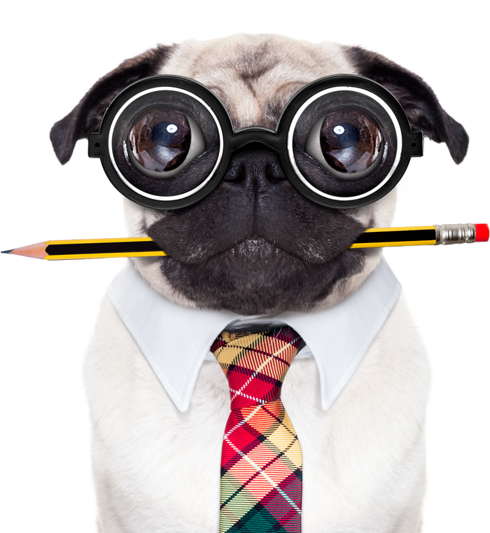 Nerdy Pug Dog With Glasses Long Sleeve Shirt