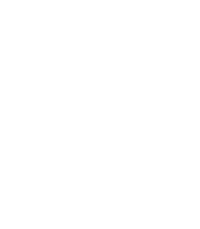 I Have The Best Grandkids In The World Women's T-Shirt