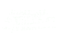 Instant Irish Just Add Beer T-Shirt