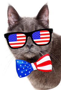 American Cat With USA Glasses And Bow Tie Dry Zone Grid Polo