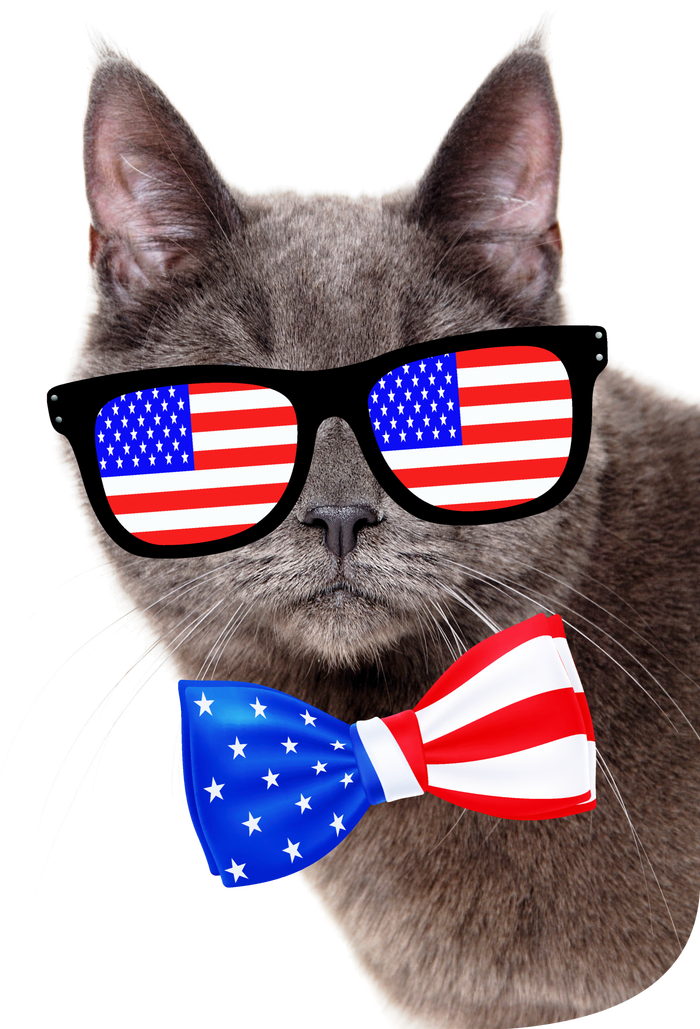 American Cat With USA Glasses And Bow Tie Dry Zone Grid Polo