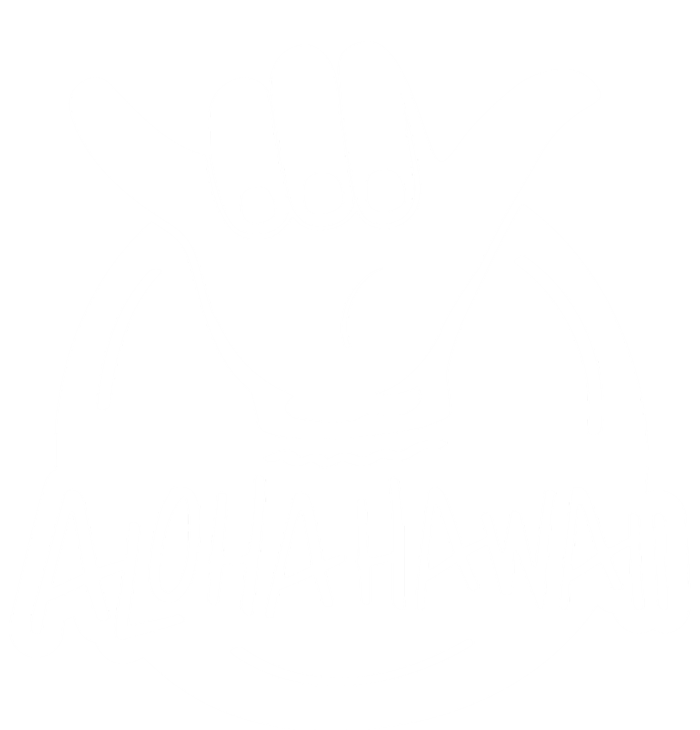 Aloha Hawaii Hand Magnet