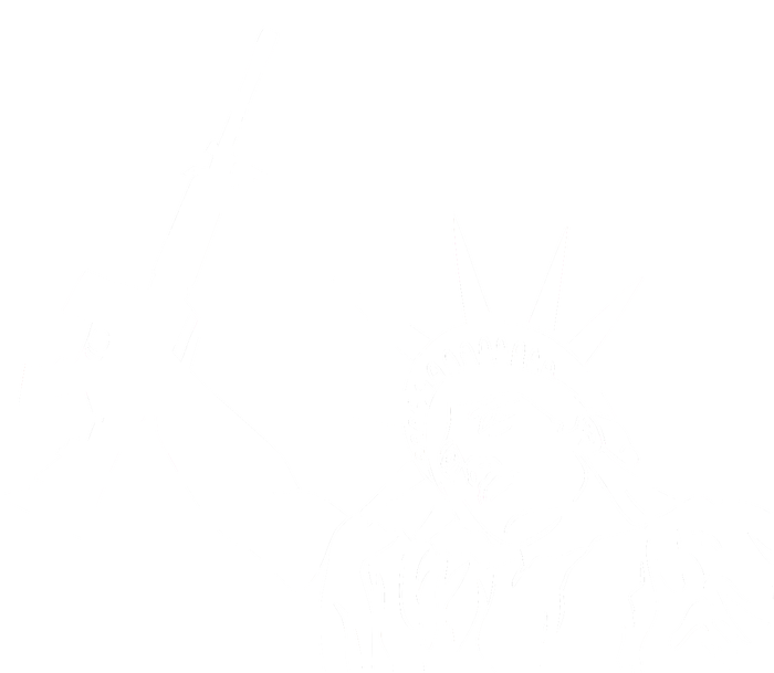 Statue of Liberty AR-15 Gun Rights T-Shirt