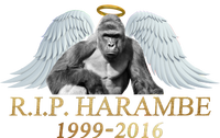 R.I.P. Harambe Our Angel In Heaven 1999-2016 T-Shirt