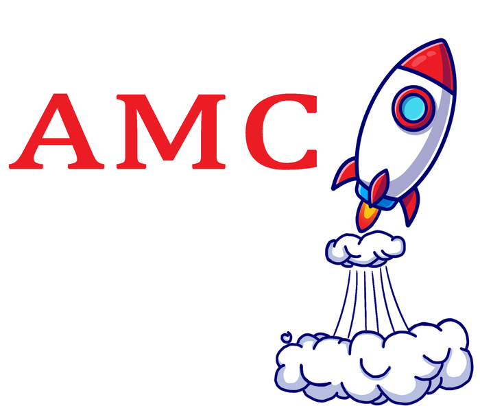 AMC Stocks To The Moon Wall Street Valucap Bio-Washed Visor