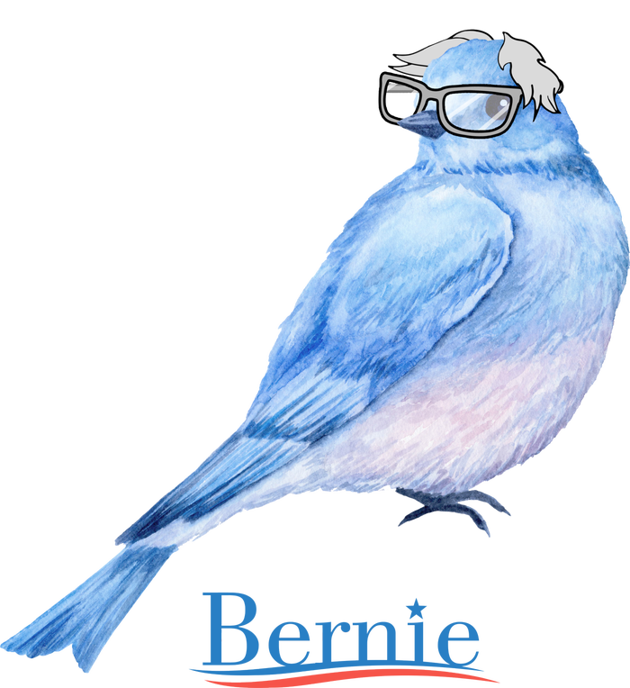 Bernie Bird Kids Sweatshirt