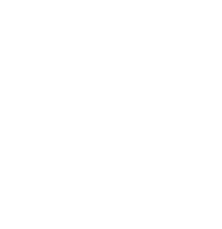 Nevada Big Deal Ladies Essential Flowy Tank