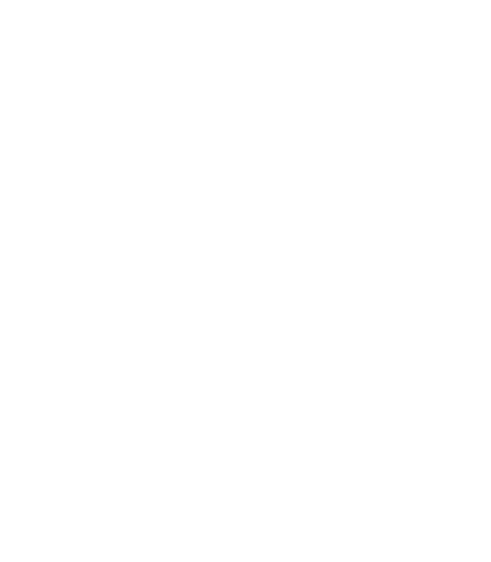 North Dakota Big Deal USA-Made Snowflake Beanie