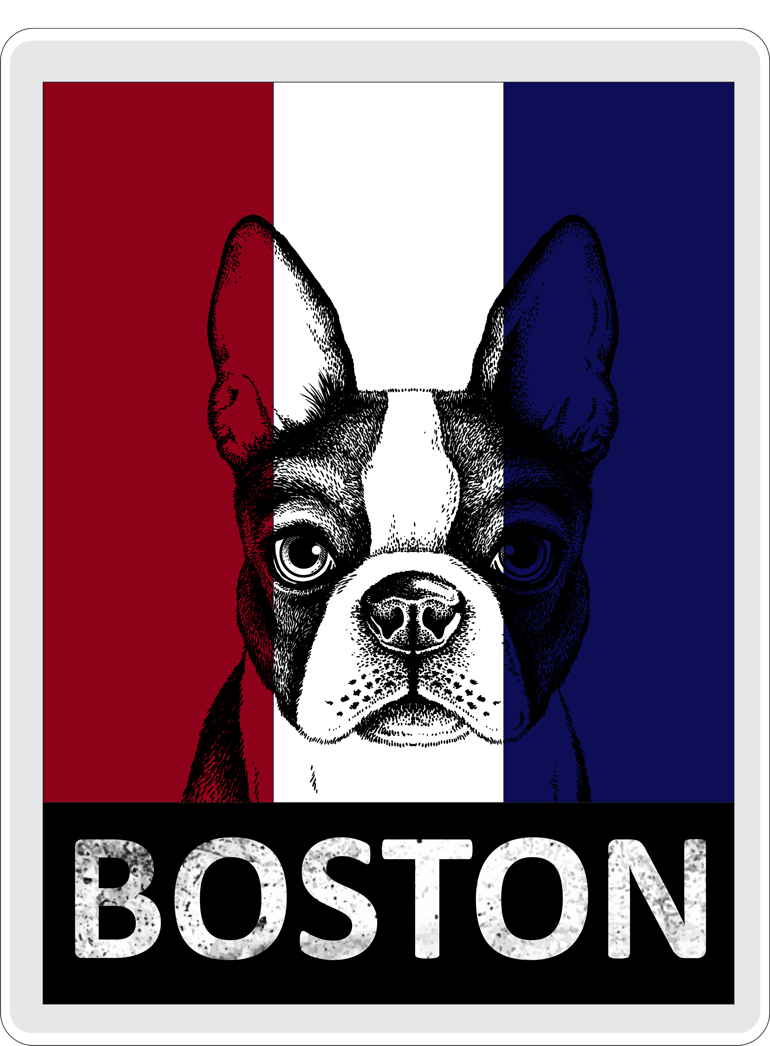 Boston Terrier Portrait  Sustainable Knit Beanie