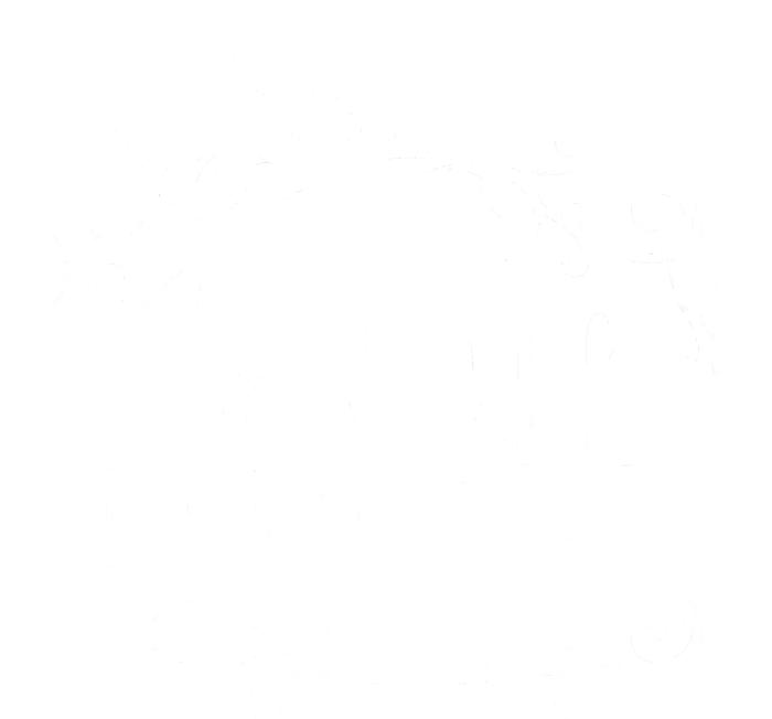 70th Birthday Princess Premium T-Shirt