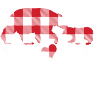 Buffalo Plaid Mama Bear Women's T-Shirt