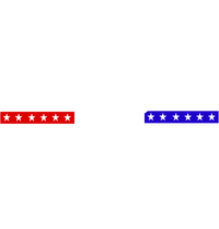 Caitlyn For California Governor Tall T-Shirt