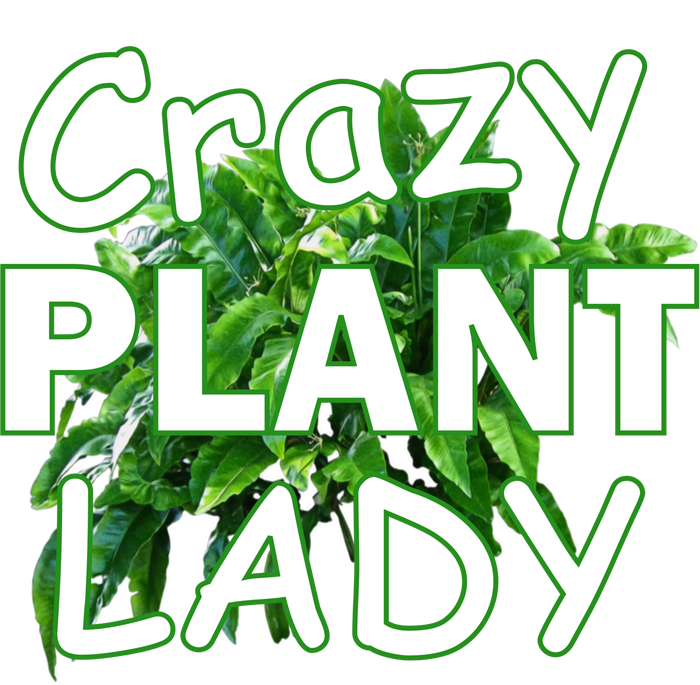 Crazy Plant Lady Hoodie