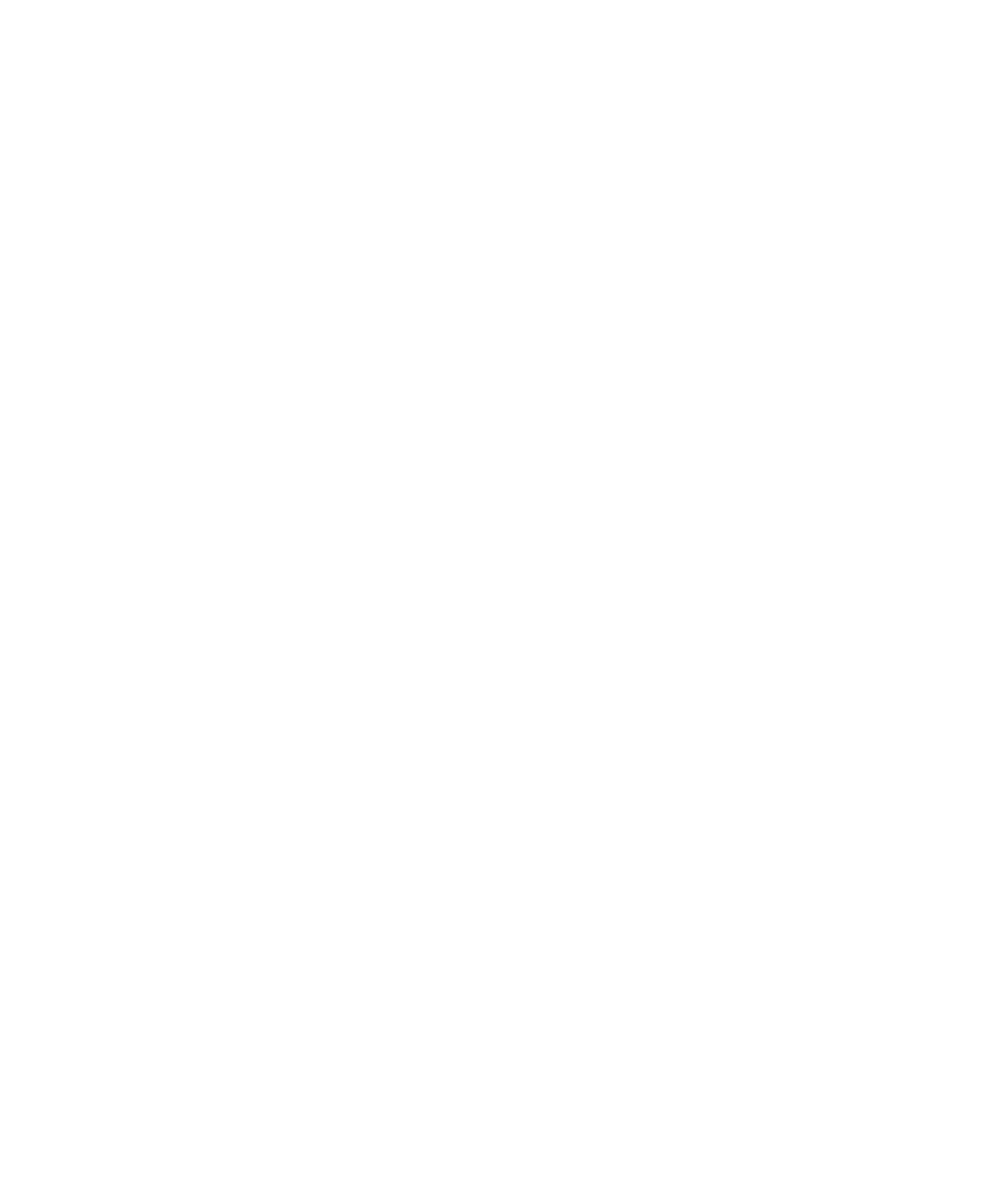 DOBERMAN T-Shirt