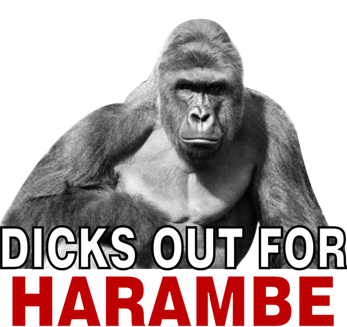 Dicks Out For Harambe Ladies Long Sleeve Shirt