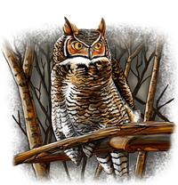 Wildlife - Owl Perched T-Shirt