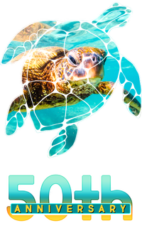 Earth Day 50th Anniversary Turtle 7 Panel Mesh Trucker Snapback Hat