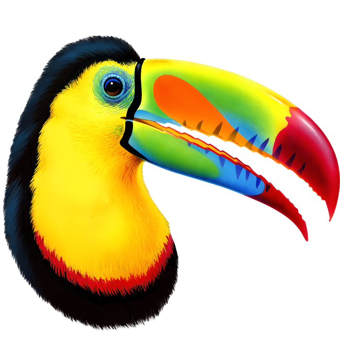 Colorful Toucan Button