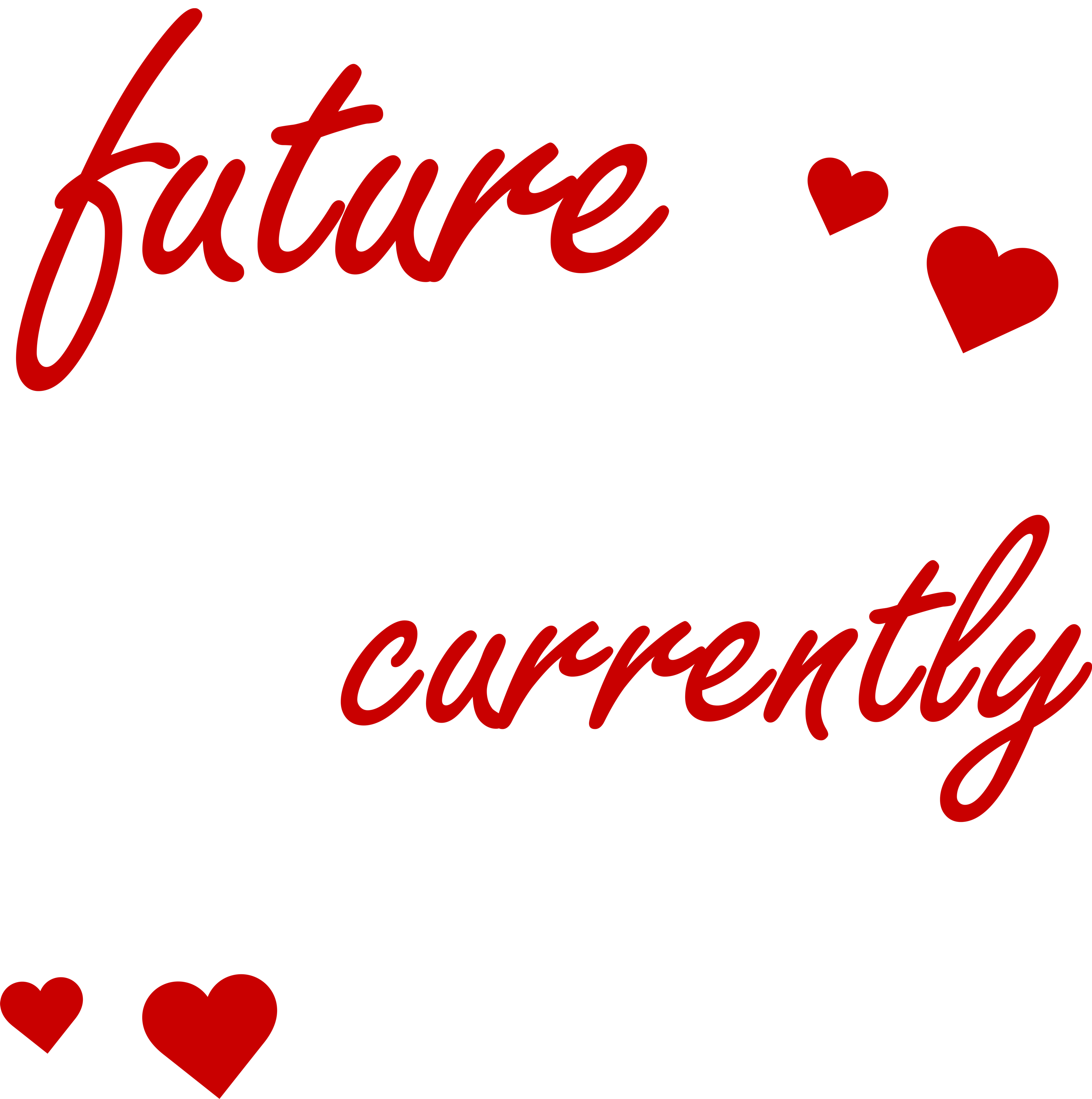 Future Ladies Man Currently Mommy's Boy Ladies Long Sleeve Shirt