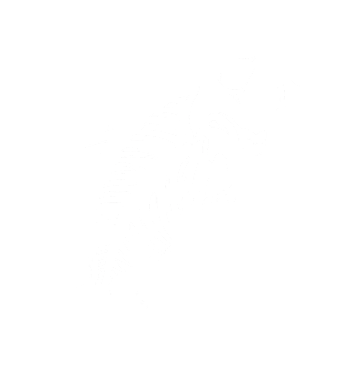 Dead Fish Skeleton X-Ray T-Shirt