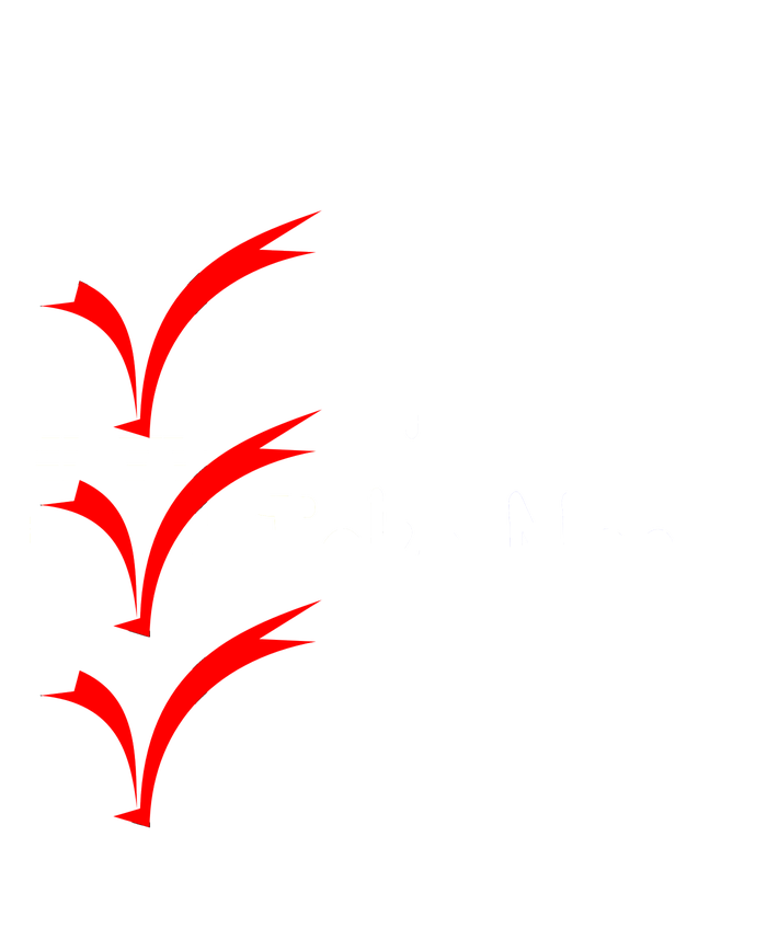 Funny To Do List T-Shirt