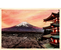 Vintage Japanese Mt. Fuji Pagoda and Cherry Blossoms Canvas