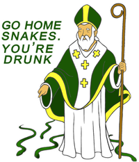 Go Home Snakes Your Drunk St Patrick's Cropped Pullover Crew