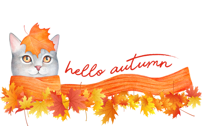 Hello Autumn Cute Cat T-Shirt