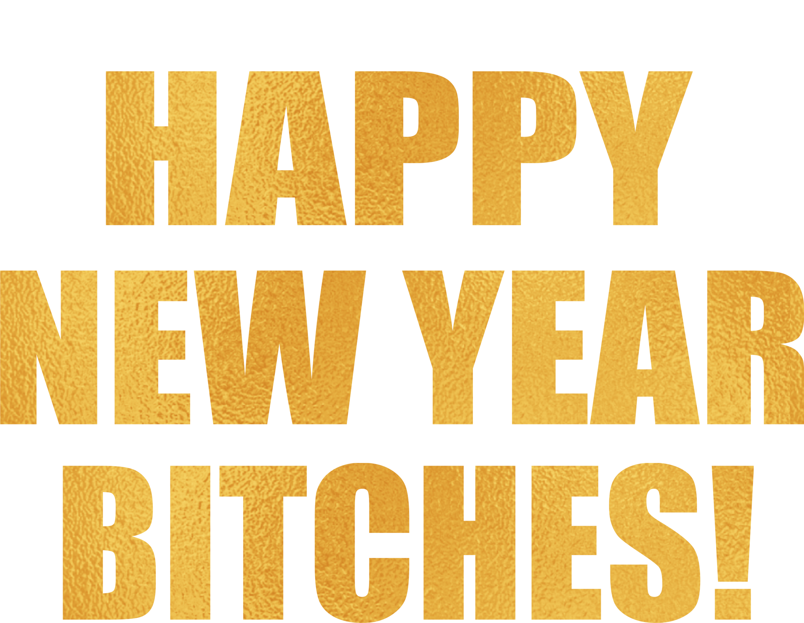 Happy New Year Bitches Magnet