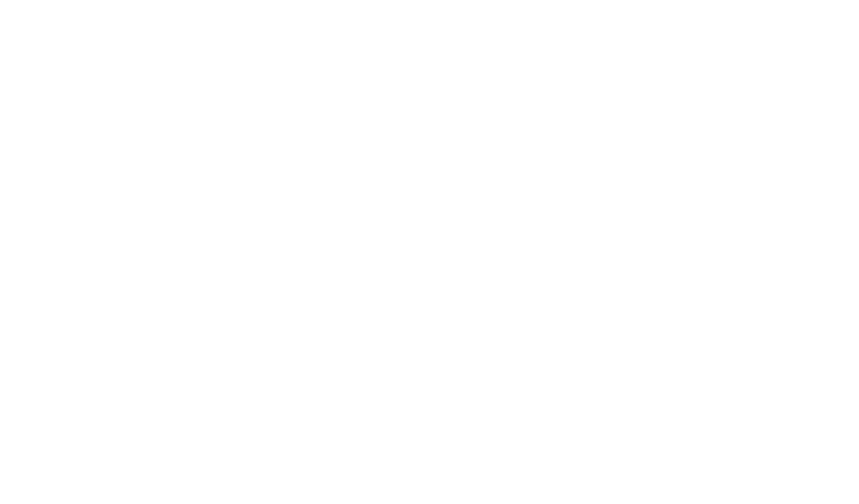 HOMIES PARIS T-Shirt