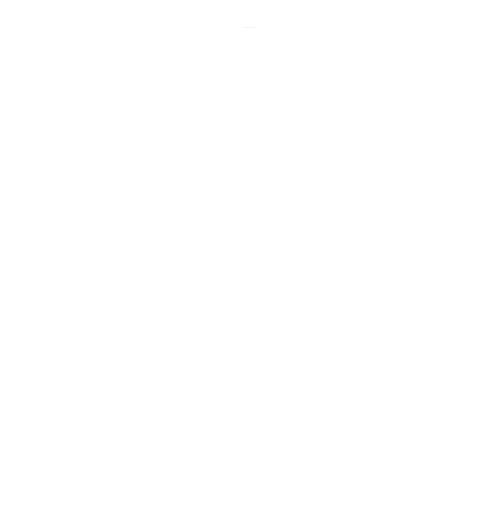 I Stand With That Woman From Michigan Tall Long Sleeve T-Shirt