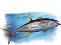 Yellowfin Tuna Swimming V-Neck T-Shirt