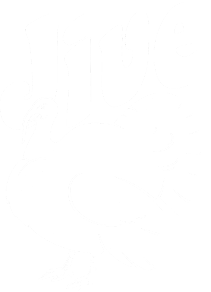 Retro Thanksgiving Jive Turkey Canvas