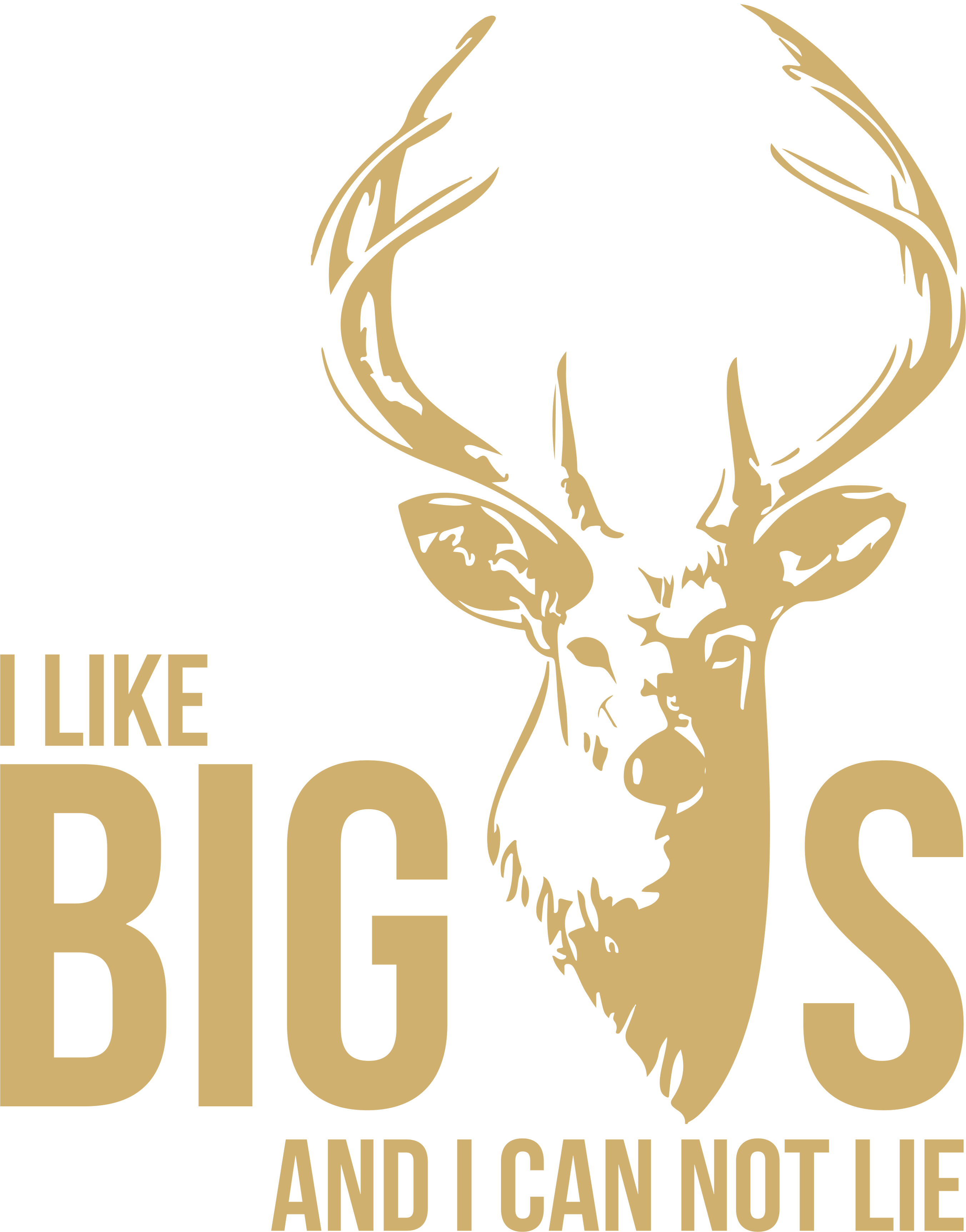 I Like Big Bucks and I Cannot Lie Full Zip Hoodie