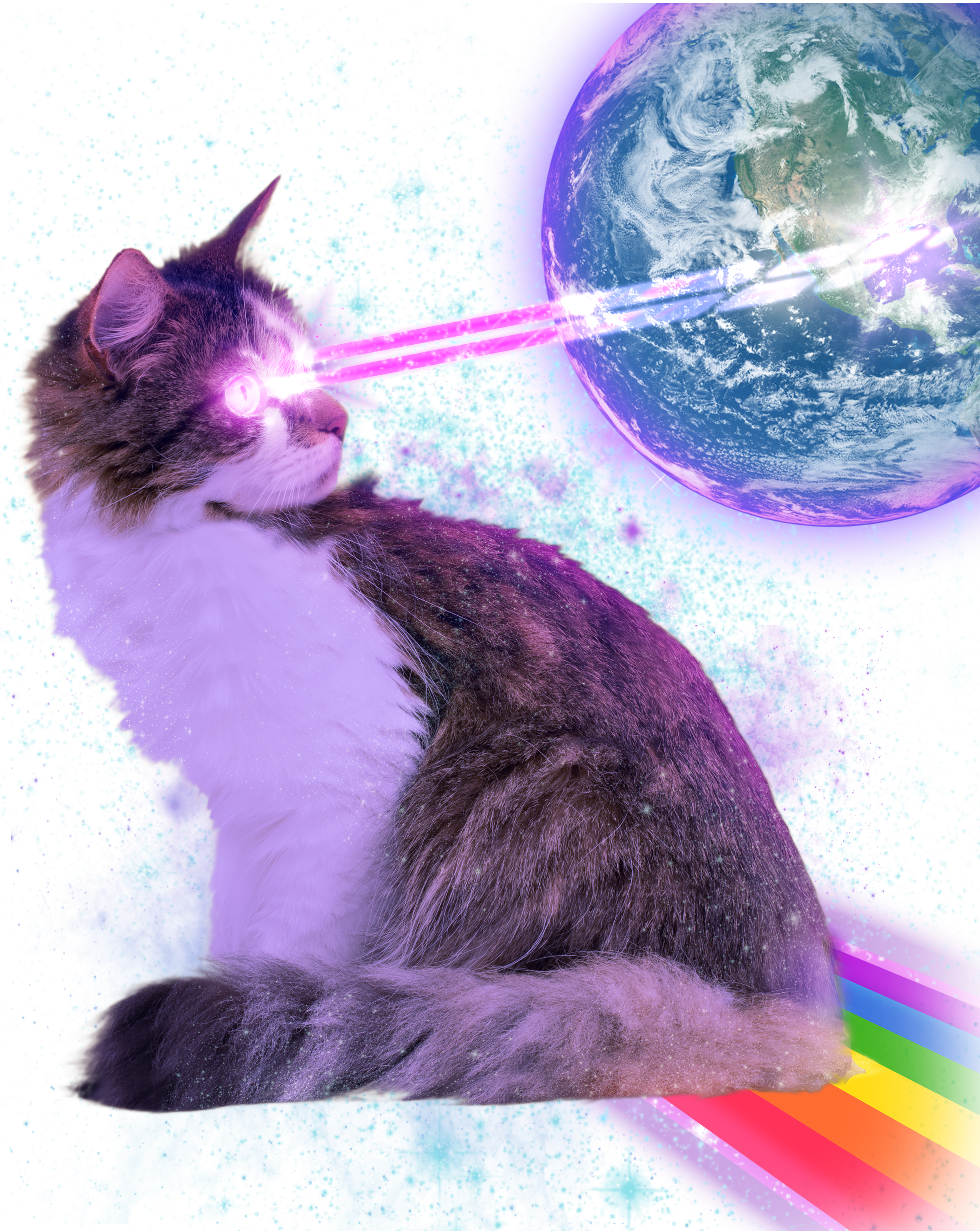 Space Cat Shooting Lazer Into Moon Coaster