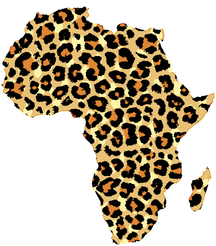 Leopard Print African Map Of Africa Sustainable Bucket Hat