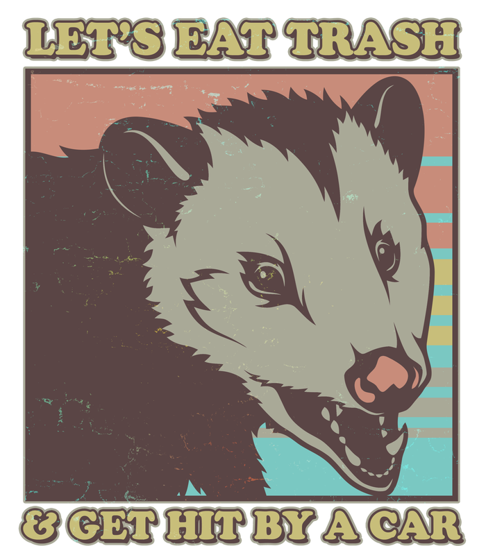 Let's Eat Trash And Get Hit By A Car Opossum Womens California Wash Sweatshirt