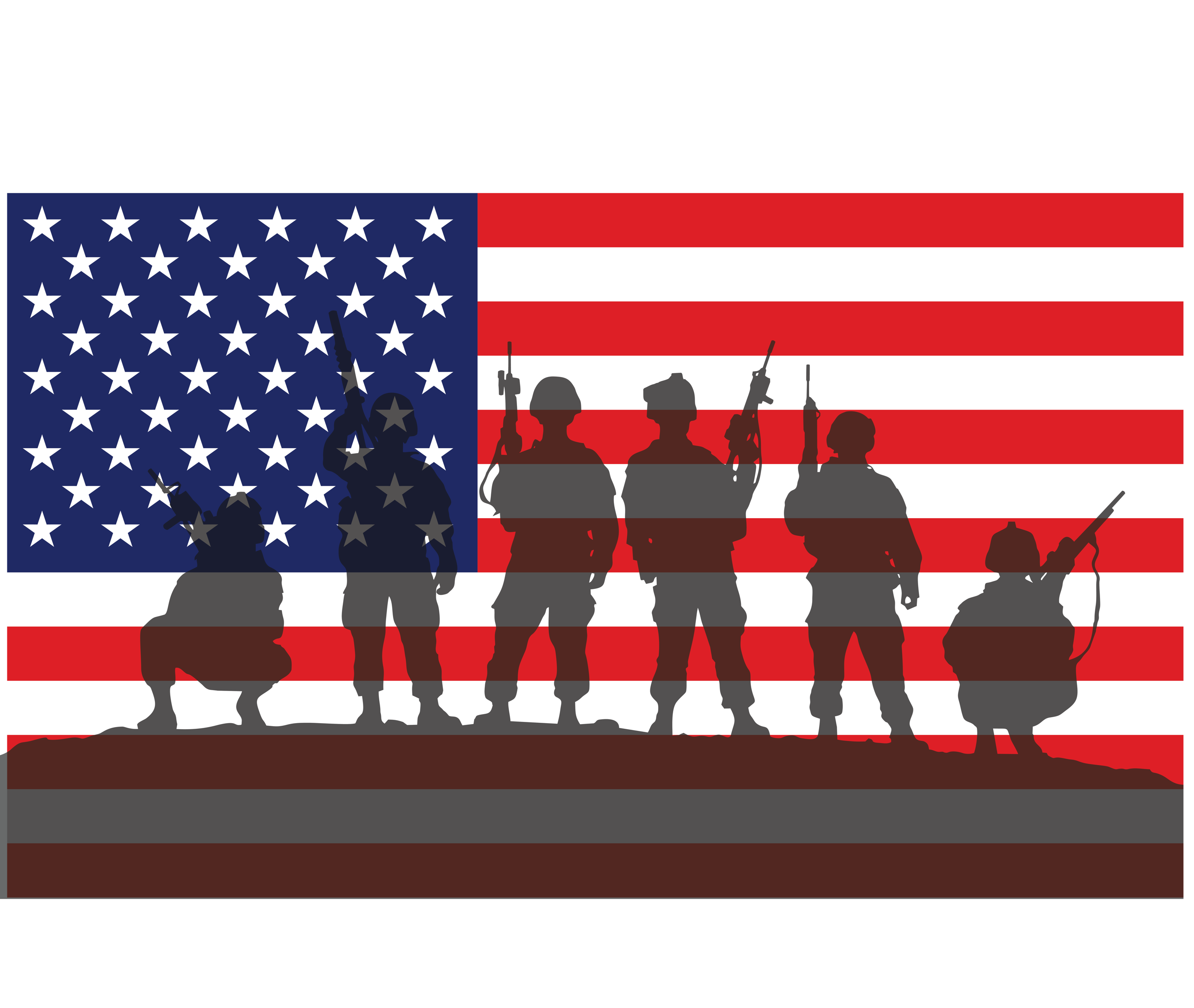 Land Of The Free Because Of The Brave Tall Hoodie