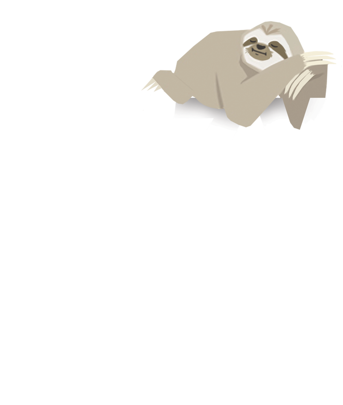 Lazy Is A Strong Word I Prefer Selective Participation Sloth Kids Hoodie