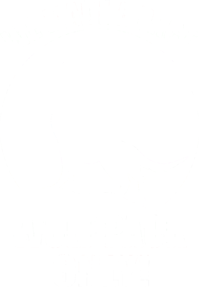 We Made A Pact Wolf Pack Only Snapback Five-Panel Rope Hat