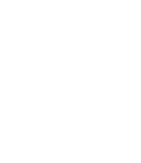 Meowdy Texas Cat T-Shirt