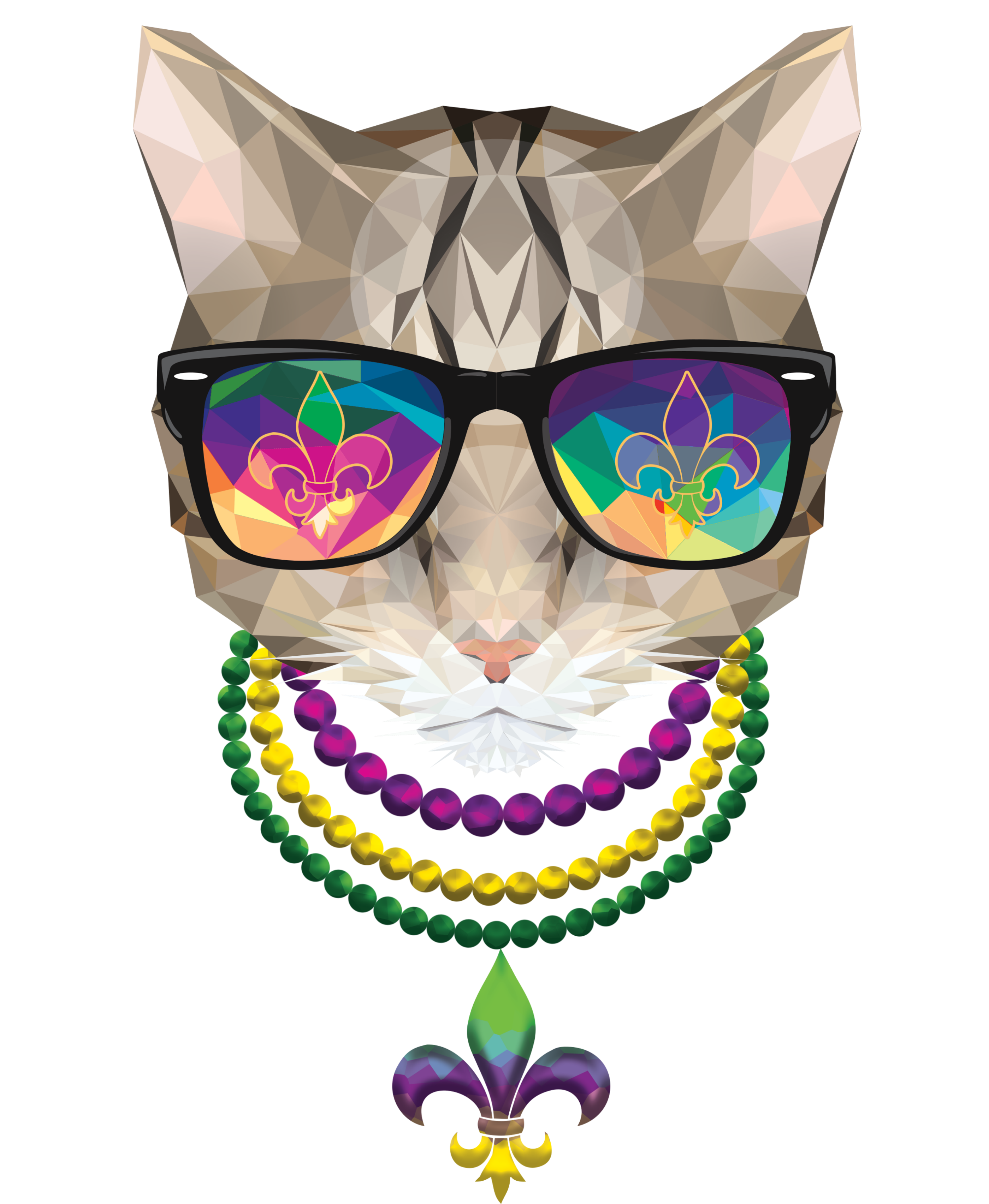 Mardi Gras Cat Beads and Sunglasses NOLA T-Shirt